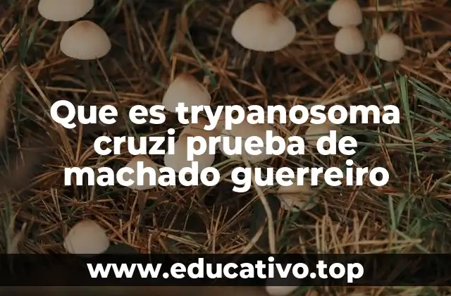 La importancia de detectar anticuerpos contra Trypanosoma cruzi