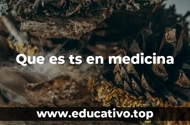 Que es ts en medicina