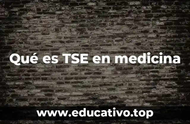 Qué es TSE en medicina