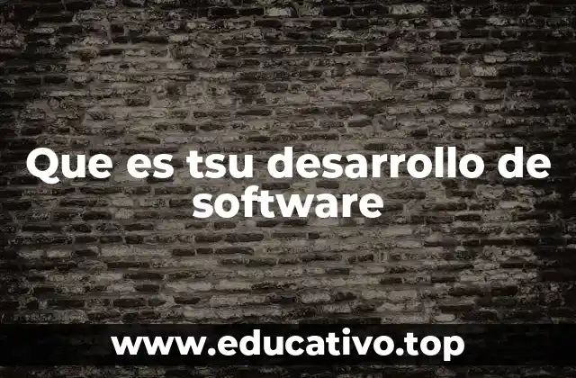 Que es tsu desarrollo de software