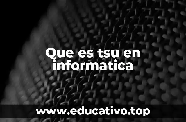 Que es tsu en informatica