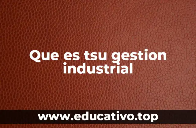 Que es tsu gestion industrial