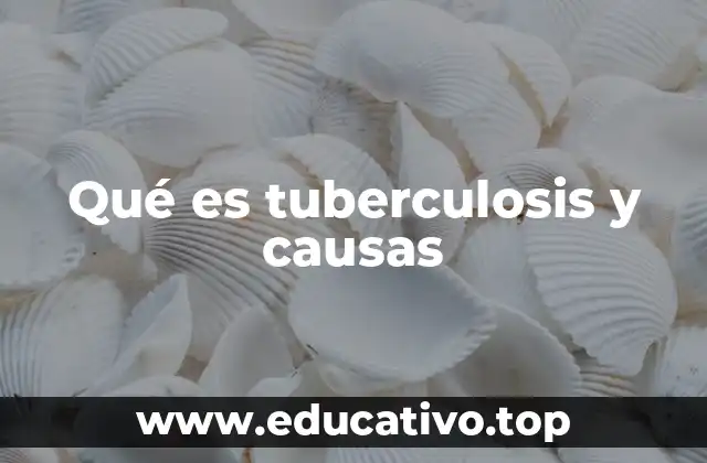 Qué es tuberculosis y causas