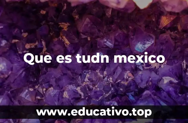 Que es tudn mexico
