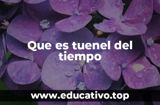 Que es tuenel del tiempo