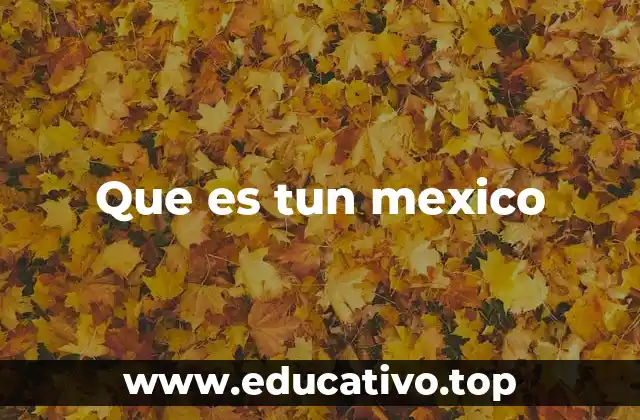 Que es tun mexico
