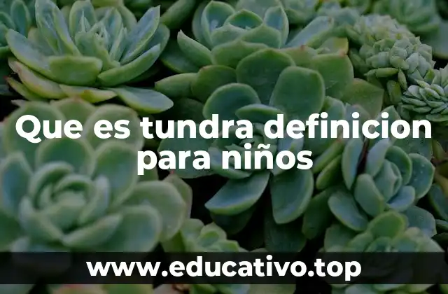 Que es tundra definicion para niños