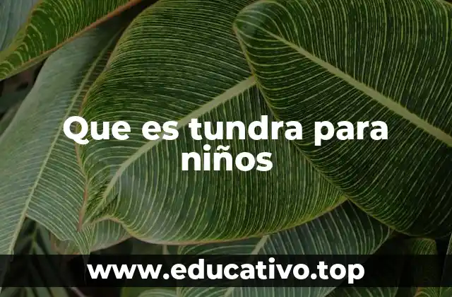 Que es tundra para niños