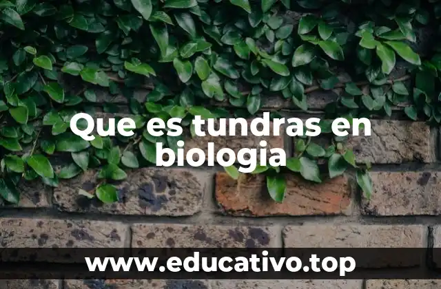 Que es tundras en biologia