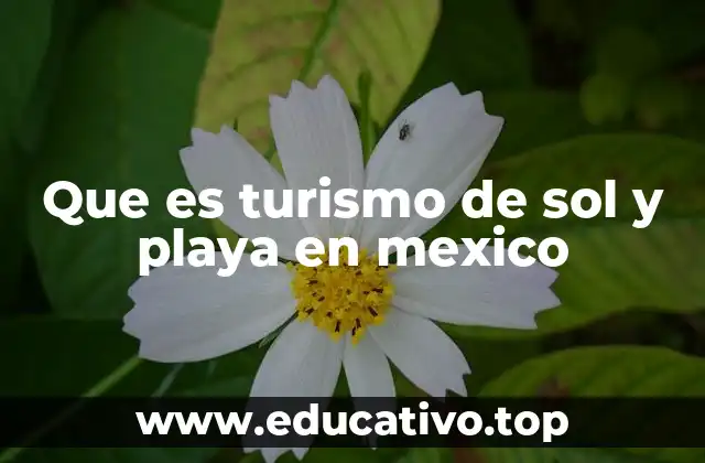 Que es turismo de sol y playa en mexico