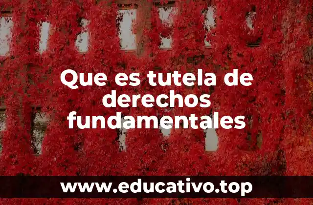 Que es tutela de derechos fundamentales
