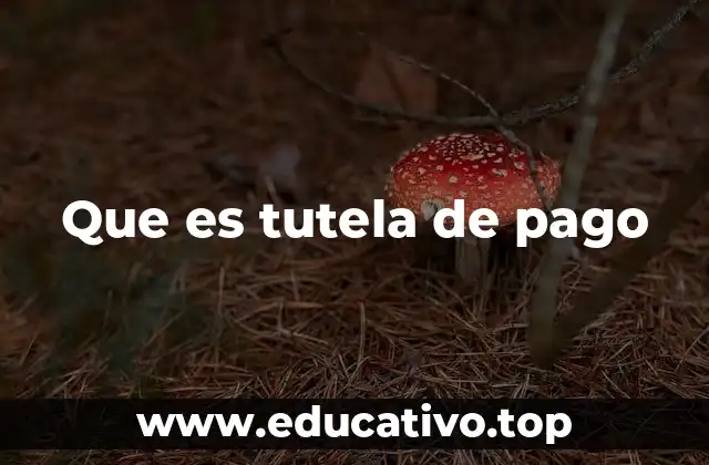 Que es tutela de pago