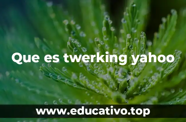 Que es twerking yahoo