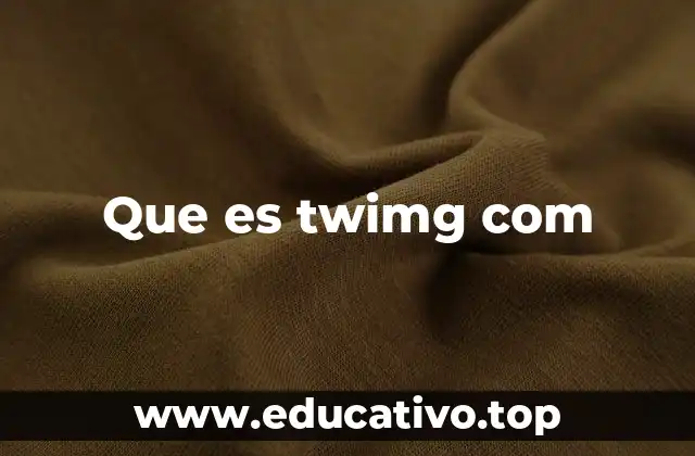 Que es twimg com