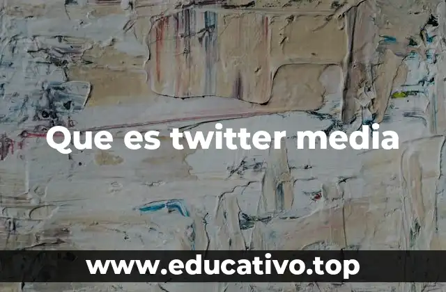 Que es twitter media