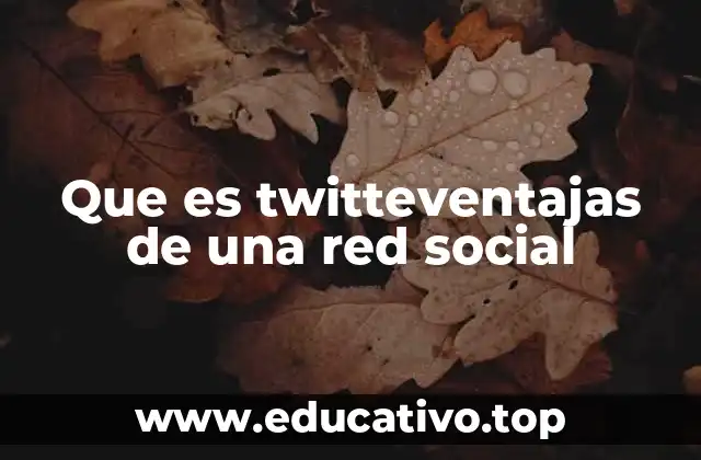 Que es twitteventajas de una red social