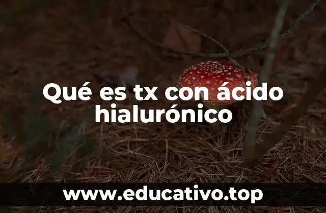 Qué es tx con ácido hialurónico