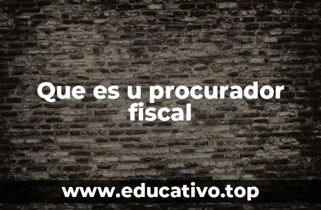 Que es u procurador fiscal
