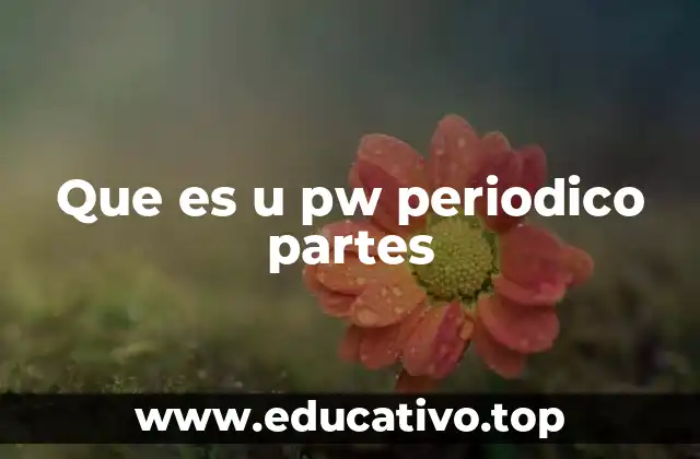 Que es u pw periodico partes