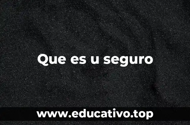 Que es u seguro