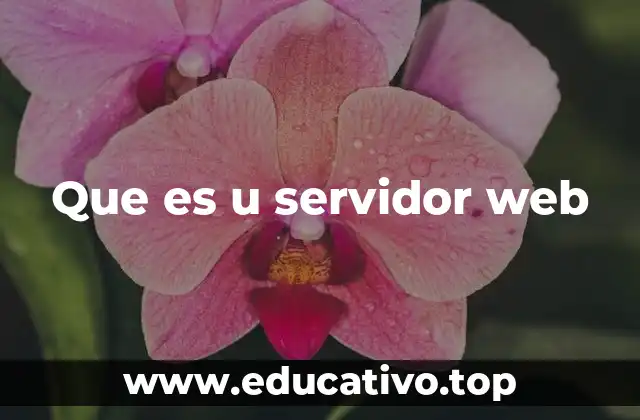Que es u servidor web
