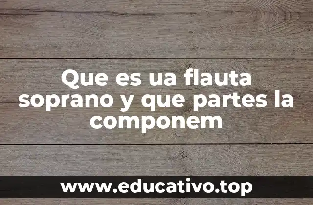 Características sonoras y técnicas de la flauta soprano