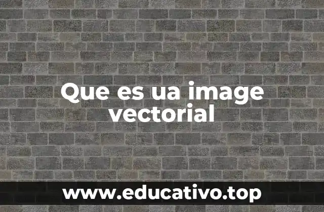 Que es ua image vectorial