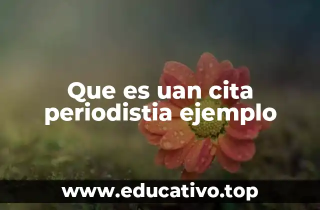 Que es uan cita periodistia ejemplo