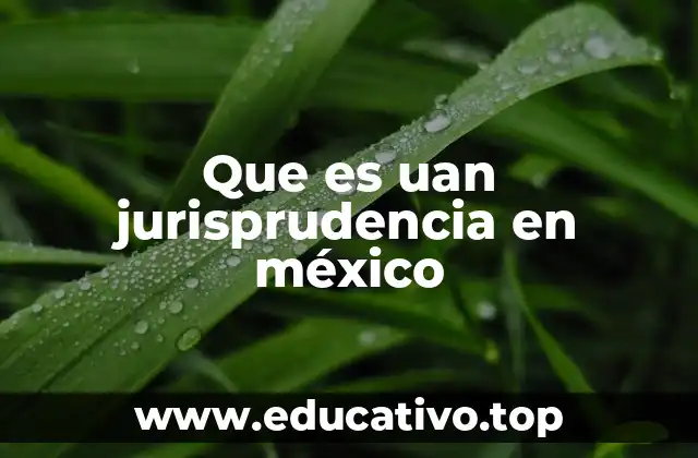 Que es uan jurisprudencia en méxico