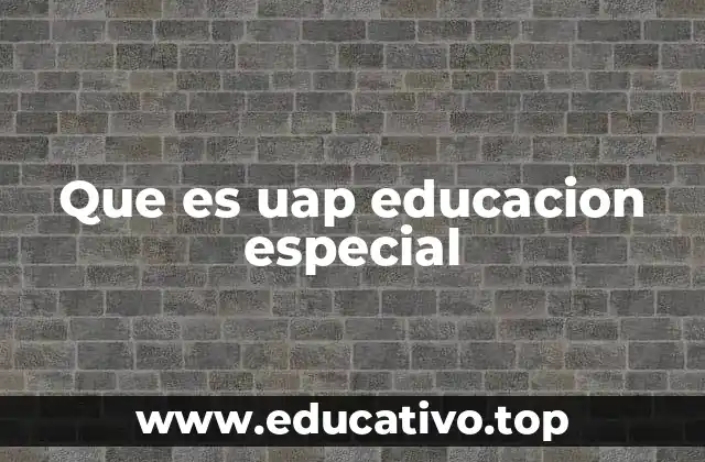 Que es uap educacion especial