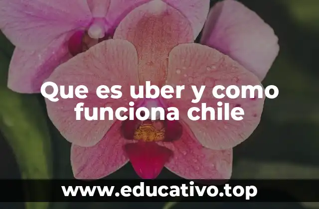 Que es uber y como funciona chile