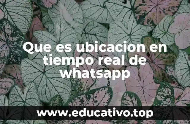 Que es ubicacion en tiempo real de whatsapp