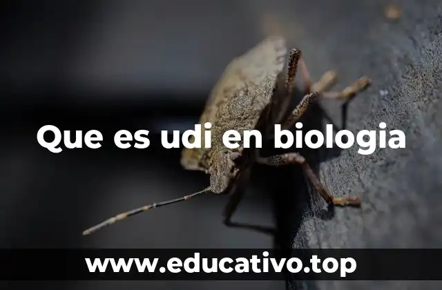 La importancia de la UDI en la enseñanza de la biología