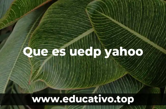 Que es uedp yahoo