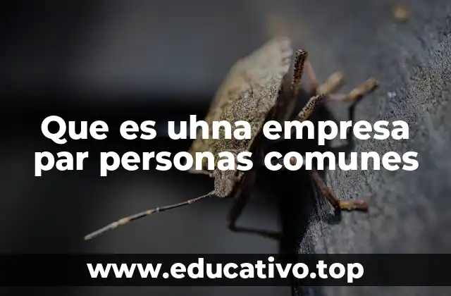Que es uhna empresa par personas comunes