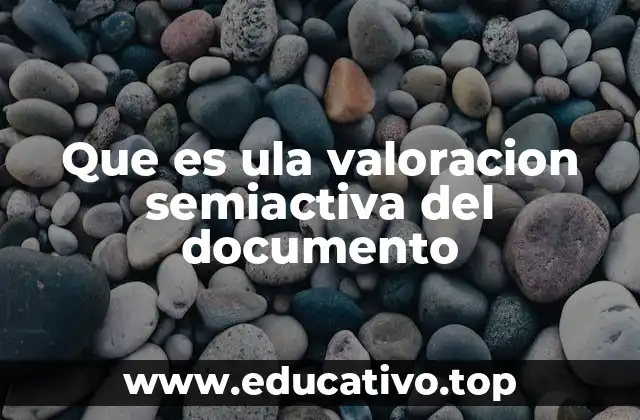 Que es ula valoracion semiactiva del documento