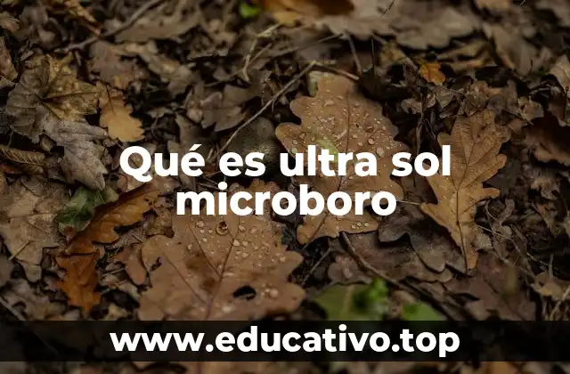 Qué es ultra sol microboro
