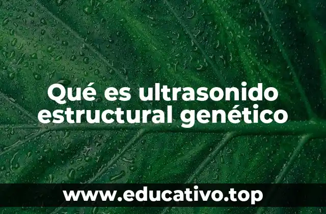 Qué es ultrasonido estructural genético