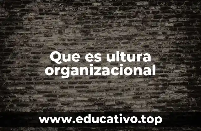 Que es ultura organizacional