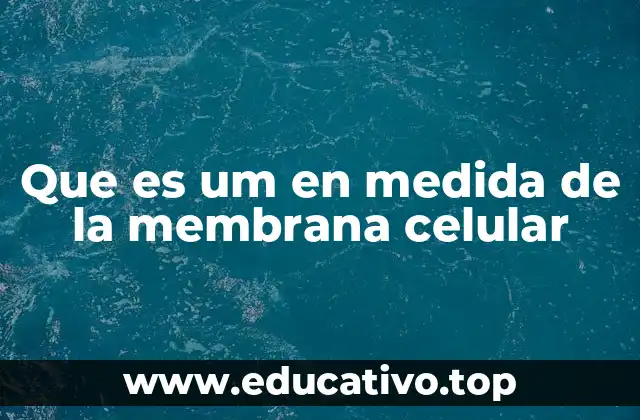 Que es um en medida de la membrana celular