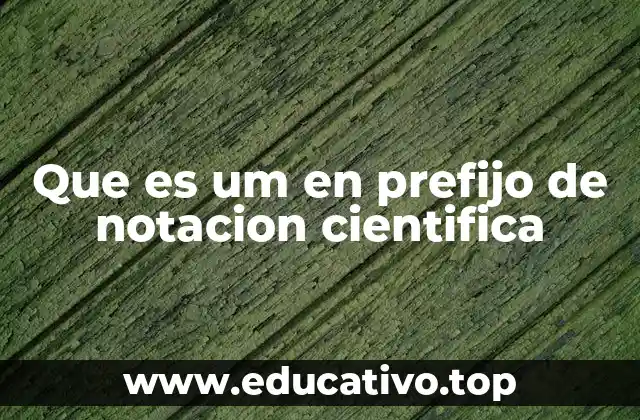 Que es um en prefijo de notacion cientifica
