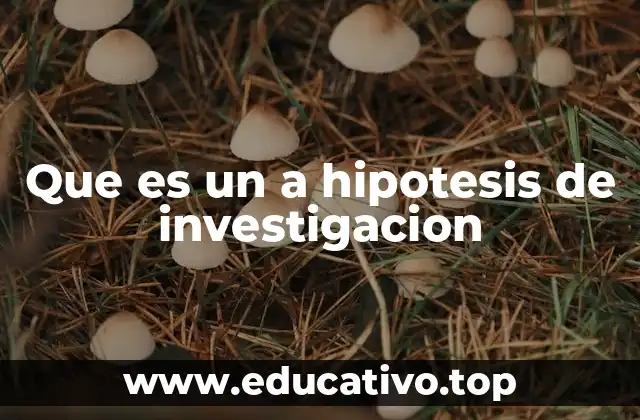 Que es un a hipotesis de investigacion