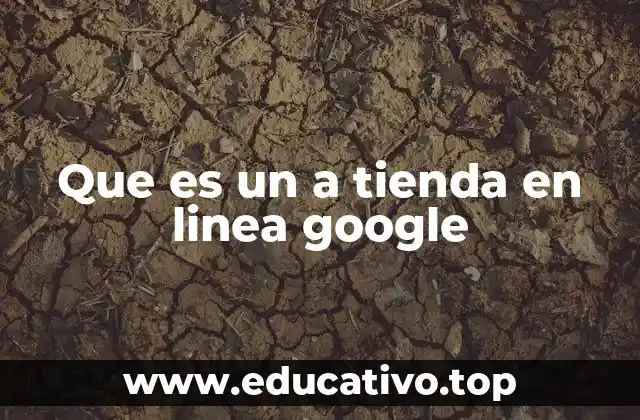 Que es un a tienda en linea google