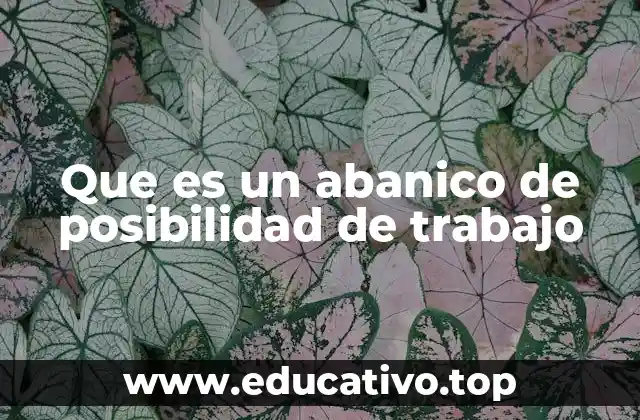 Que es un abanico de posibilidad de trabajo