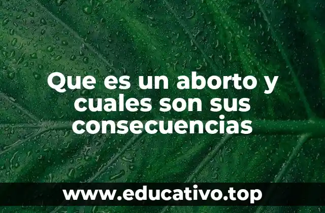 Que es un aborto y cuales son sus consecuencias