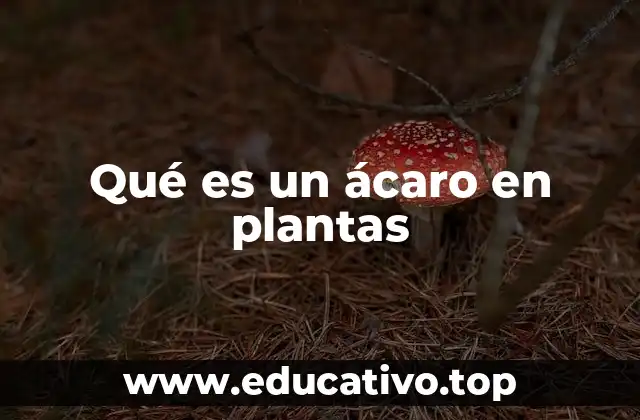Tipos de ácaros que afectan a las plantas