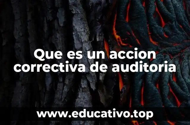 Que es un accion correctiva de auditoria