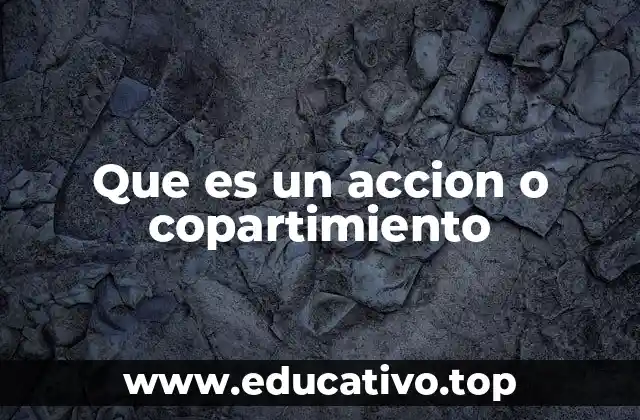 Que es un accion o copartimiento