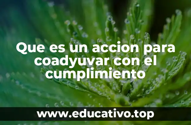 Que es un accion para coadyuvar con el cumplimiento