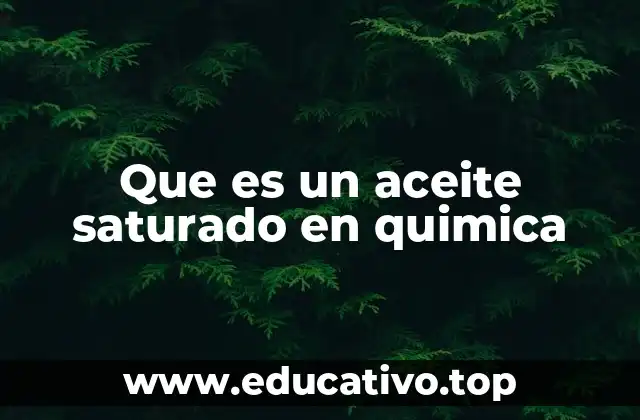 Características químicas y propiedades de los aceites saturados